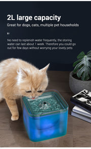 Automatic Water Fountain Filter Indoor For Pet