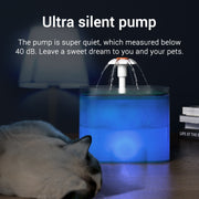 Automatic Water Fountain Filter Indoor For Pet