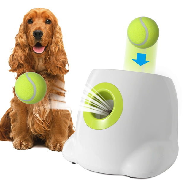 Pet Ball Launcher Toy