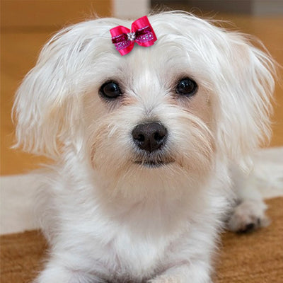 20pcs Pet Cute Hair Bows with Rhinestone & Flowers Ribbon