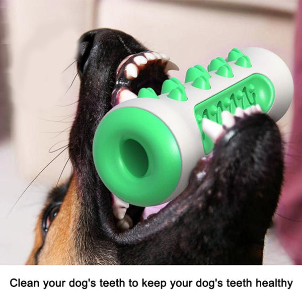 Chew Cleaning Teeth Toy